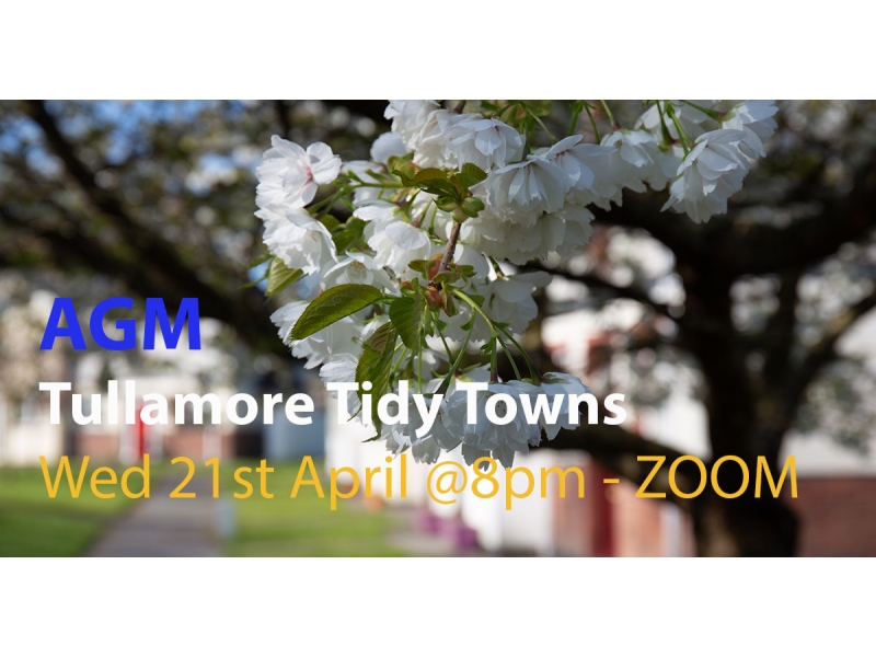 agm-tidy-towns