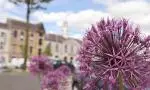 IMpublic-realm-tullamore.JPG cropped 5/3 image