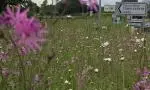 WhatsApp Image 2026-05-31 at 20.23.42.jpeg cropped 5/3
