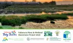wetland-tullamore-cropped-5_3